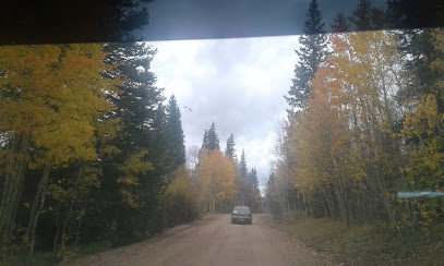 Pike National Forest