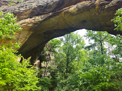 Daniel Boone National Forest