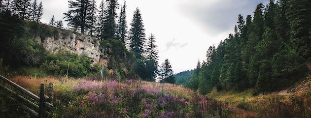 Lincoln National Forest