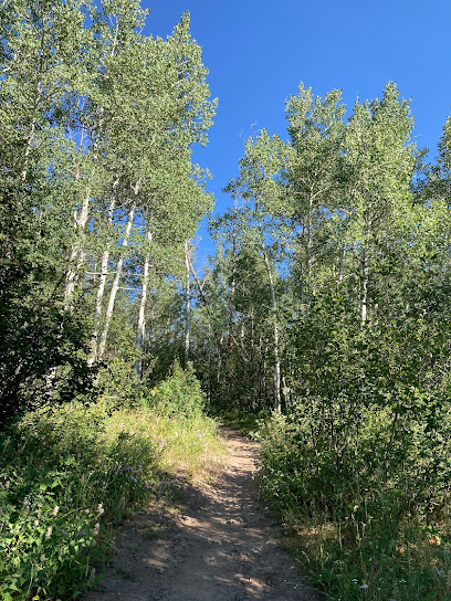 Aspen Trailhead North