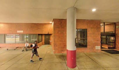 Detroit Native Sun Newspaper